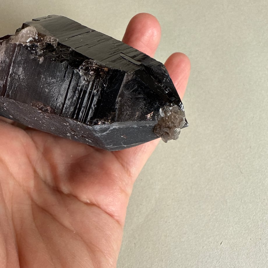 675531c962204249d93772d0