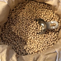 《量》有機ひよこ豆100g〜/アメリカ産