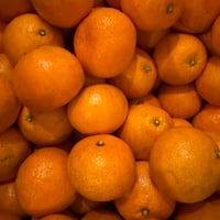 《量》宮内伊予柑1kg〜（自然栽培）