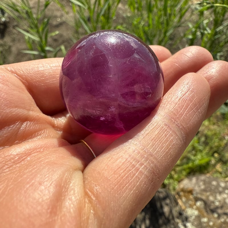 パープルフローライト | 仲沢商店