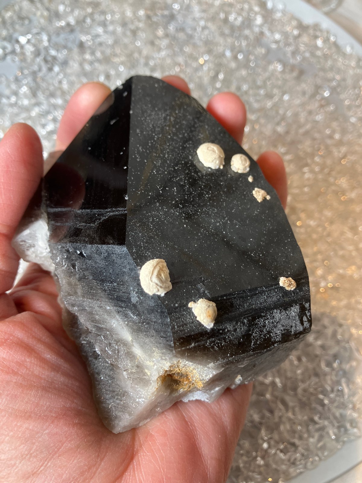 チベット産モリオン | 仲沢商店