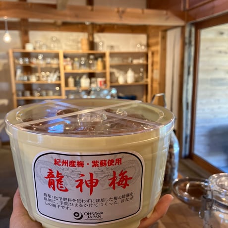 龍神梅