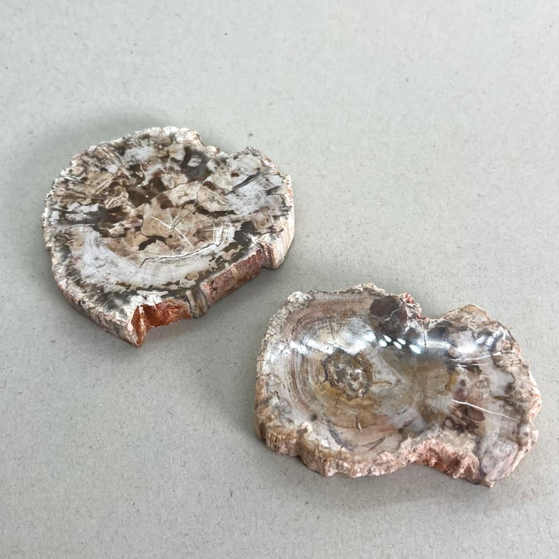 ペトリファイドウッド　ハート♡♡珪化木 No1716 ミルクティーカラー♡♡ ペトリファイドウッド ハート♡♡珪化木 No1716 ミルクティーカラー