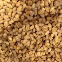 《量》生松の実100g〜/ニュージーランド産
