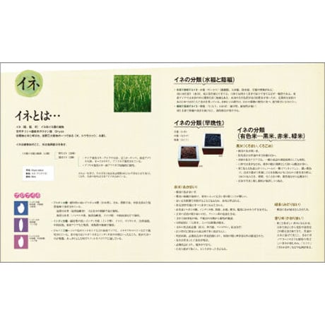 こめ語り― イネ・こめ・飯 ―