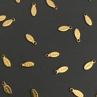 [ 10個セット ] フィッシュ タグ プレート 10mm サージカルステンレス p-2119106