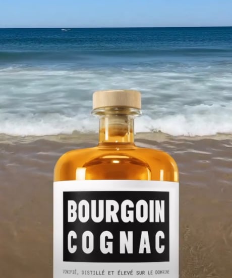 BOURGOIN COGNAC Millésime 2005 pour BAR DORAS 238本限定 (350ml/53%vol)