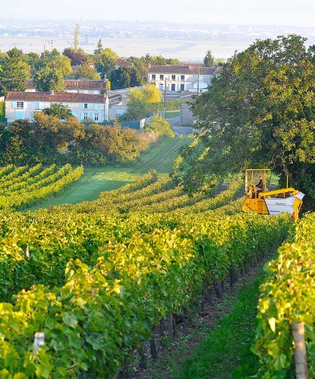 Cognac DROUET Hors D’âge Fût 93 pour BAR DORAS 300本限定