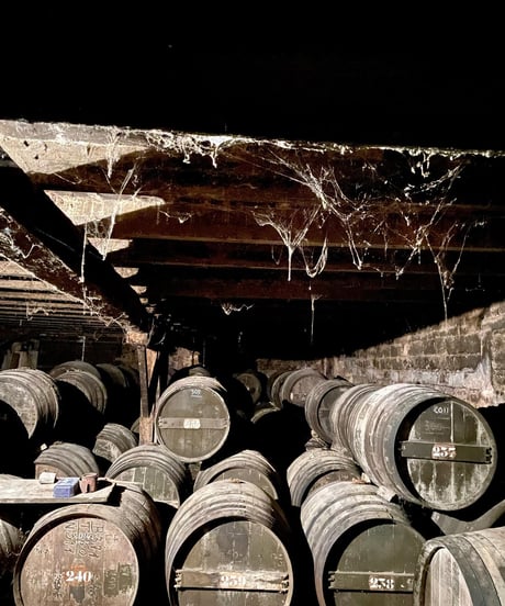 GIBOIN Cognac Borderies Millésime 1995【44.3%vol】pour BAR DORAS 240本限定
