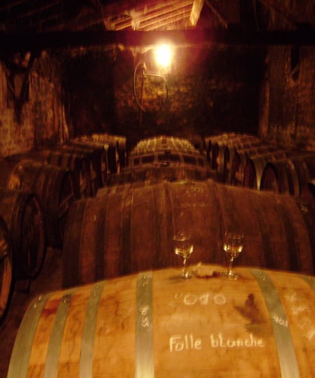 Cognac Guy PINARD ＆ Fils  Folle Blanche 2010 pour BAR DORAS 198本限定