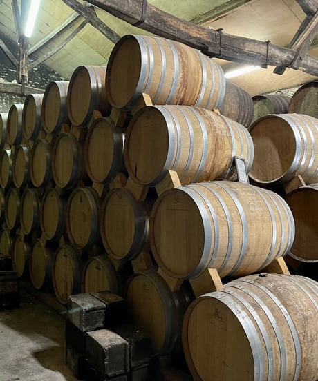 Cognac BERTRAND Single Barrel Selection Lot«1994» for BAR DORAS 264本限定 (700ml/59.2%vol)