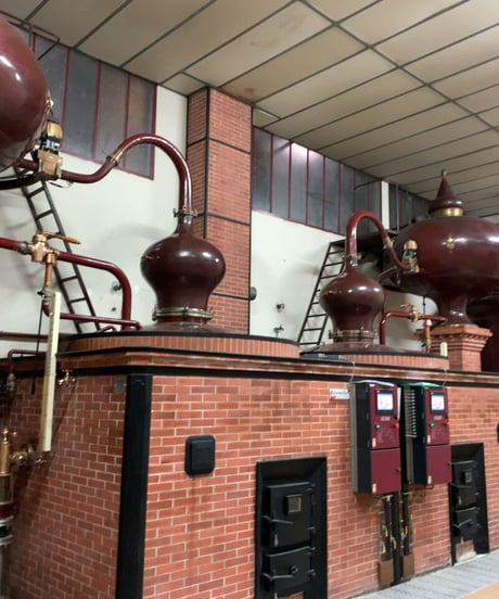 Cognac Château de Montifaud «Pierre Vallet» Grande Champagne 1973 pour BAR DORAS 144本限定