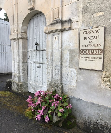 Cognac COUPRIE 2005 pour BAR DORAS 20ÈME ANNIVERSAIRE 240本限定 (500ml/52.6%vol)