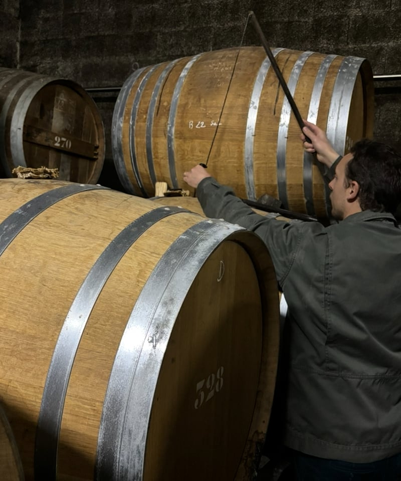 Cognac GIBOIN Borderies 2005 pour BAR DORAS 20È