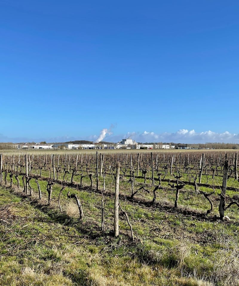 GIBOIN Cognac Borderies Millésime 1995【44.3%vol