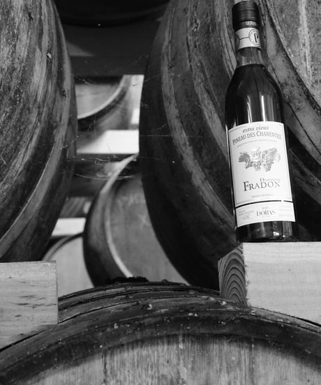 Domaine FRADON Extra Vieux Pineau des Charentes pour BAR DORAS 216本限定 (500ml/17.5%vol)