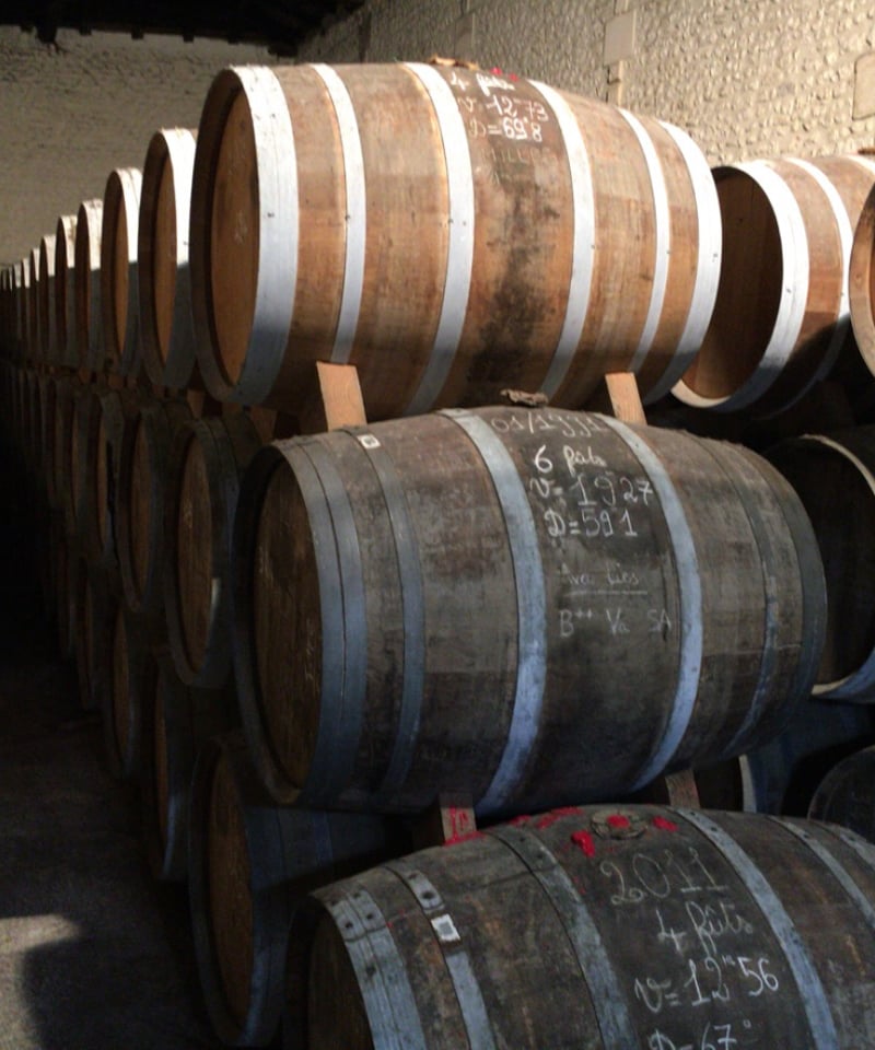 Château Montifaud Cognac Millésime 1997 pour BA