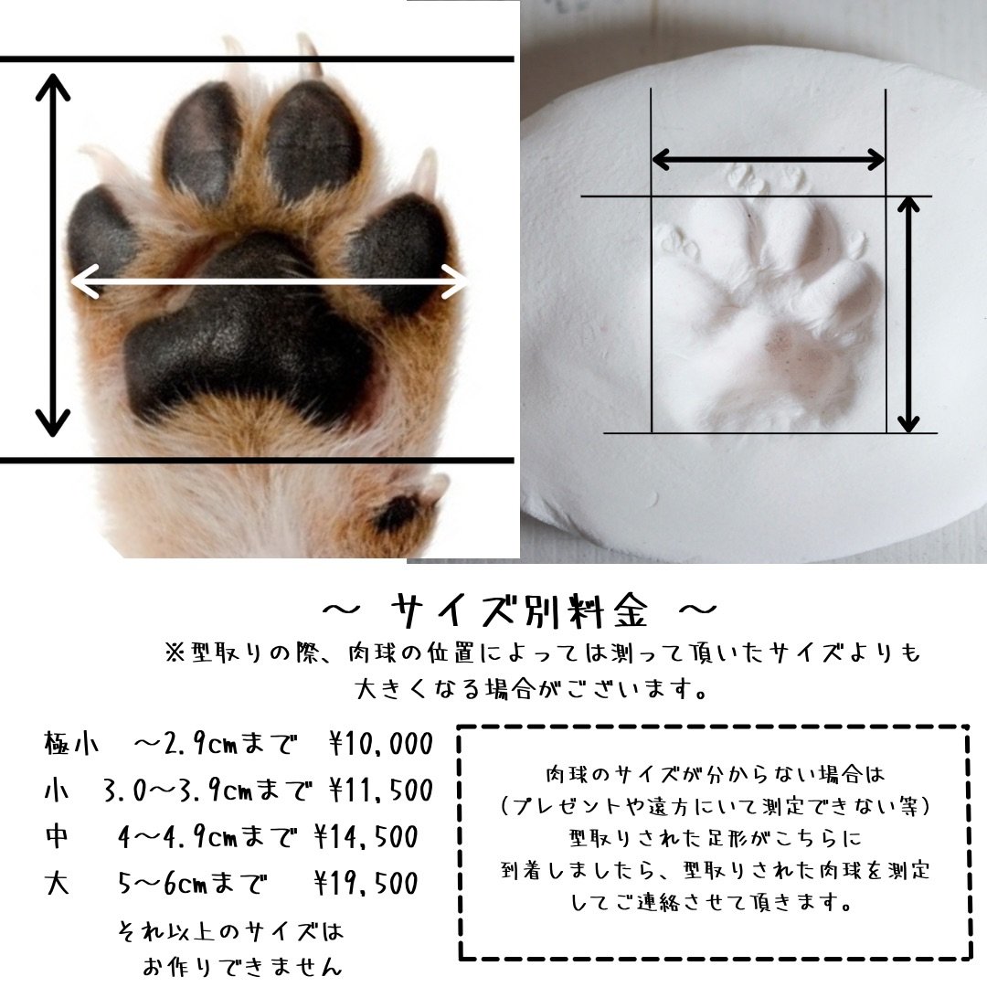 王一博 肖戦 デザイン　Lサイズ　肉球 キーホルダー　0609 王一博 肖戦 デザイン Lサイズ 肉球 キーホルダー 0609 - メルカリ