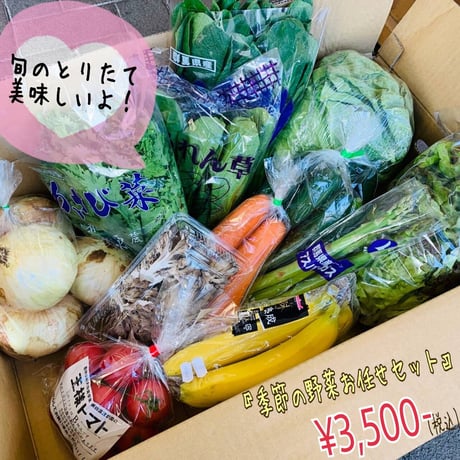 季節の野菜お任せセット（3,500円）