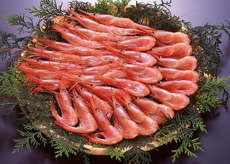 甘えび 500g（送料別） | かに物語