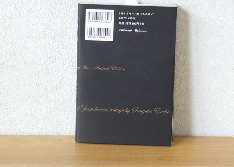 The Outsider 田辺剛 Extra Works | 虚実書店マボロシ