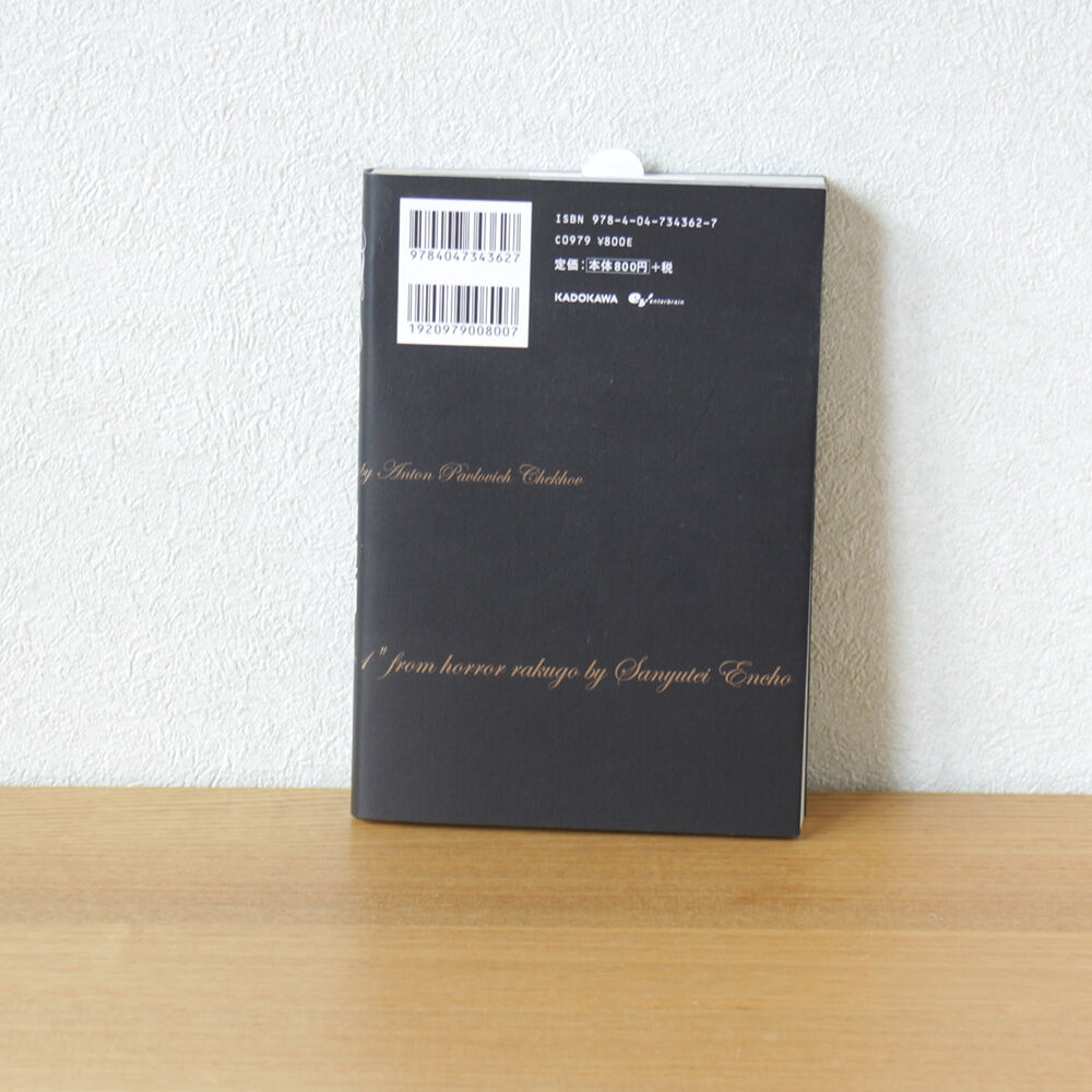 The Outsider 田辺剛 Extra Works | 虚実書店マボロシ