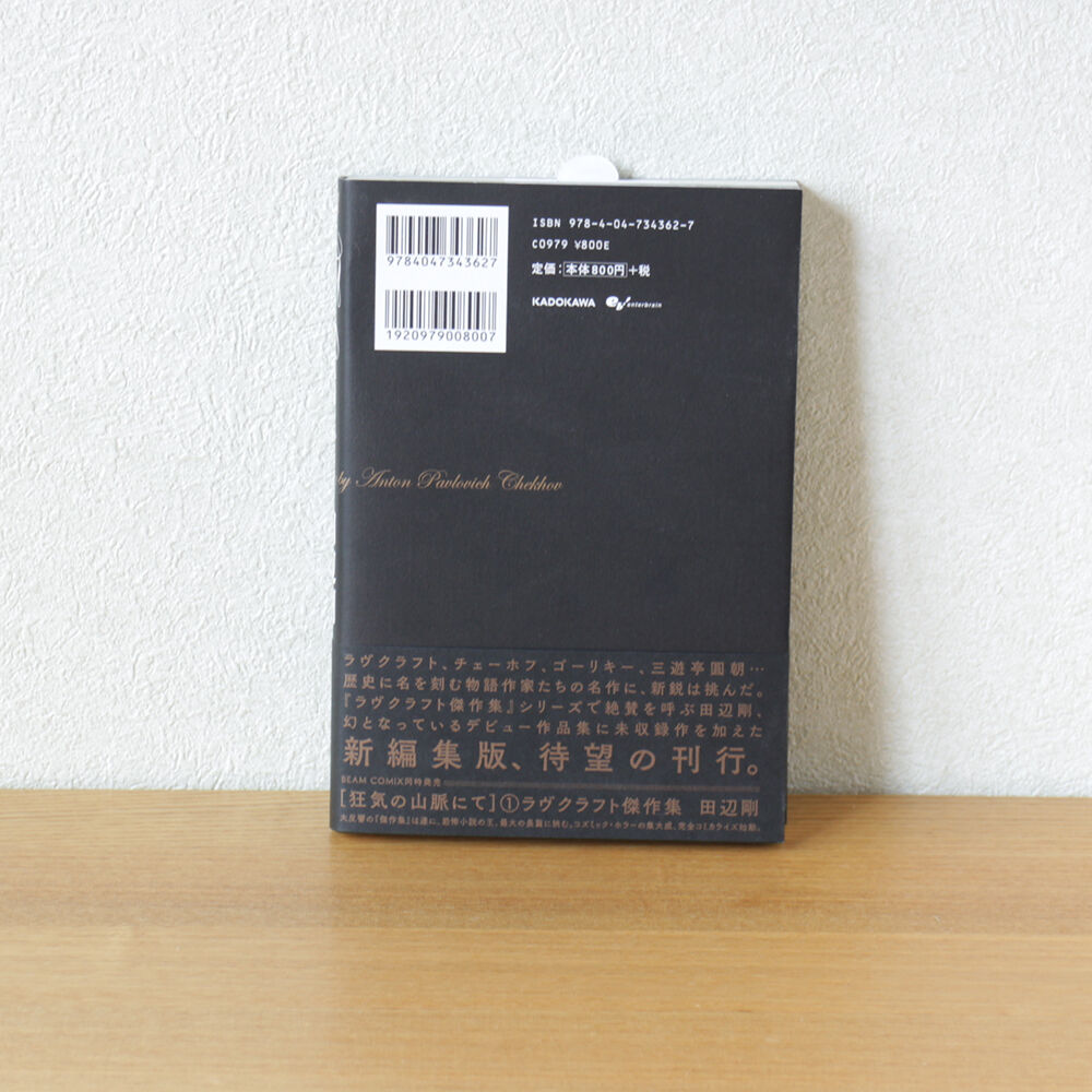The Outsider 田辺剛 Extra Works | 虚実書店マボロシ