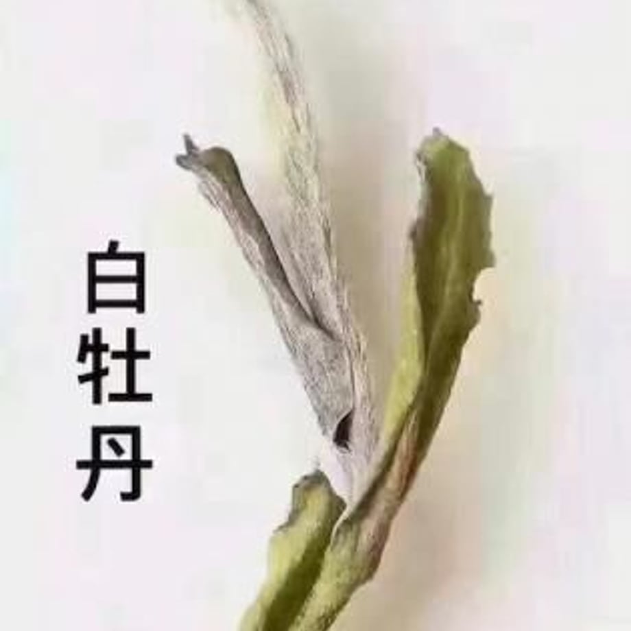 60a712727c42ee474b390f48
