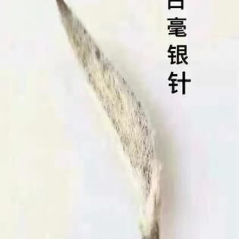 60a7166c8899be11fa1fe88e