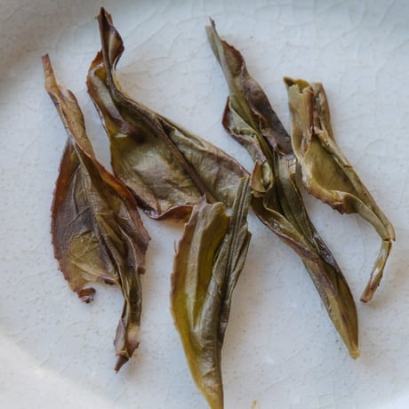 百年烏崠老欉水仙【10g】