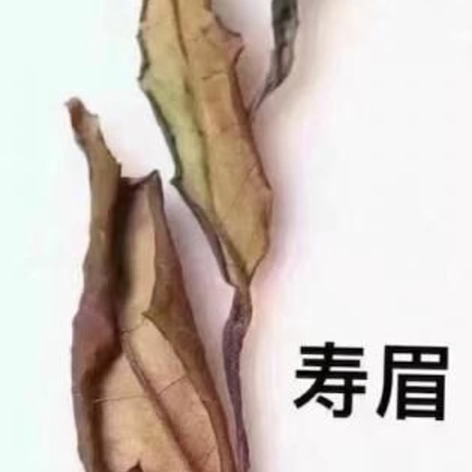60a70a2d0e24035cac89dee0