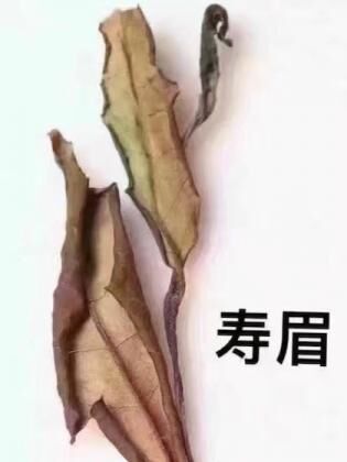 陳年寿眉2015【20g】 | バンブー茶館