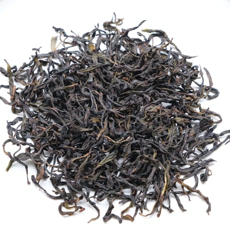 2025獅頭蜜蘭香【10g】