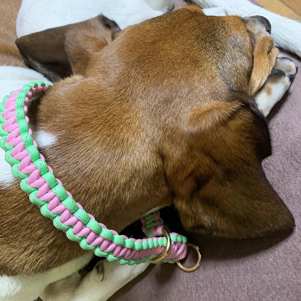 パラコード❥首輪❥　わんちゃん用首輪　水色　№020 サーモンピンク×水色 パラコード首輪 チョークタイプ 34cm