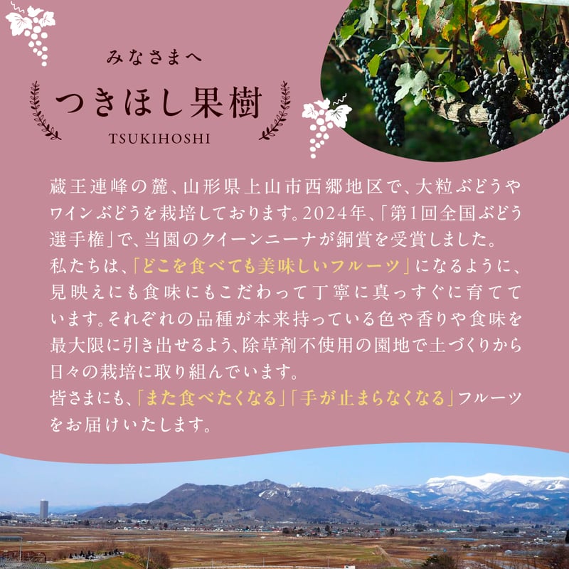 上山・山ぶどうジュース【果汁100％】2本セット | 山形のぶどう農家