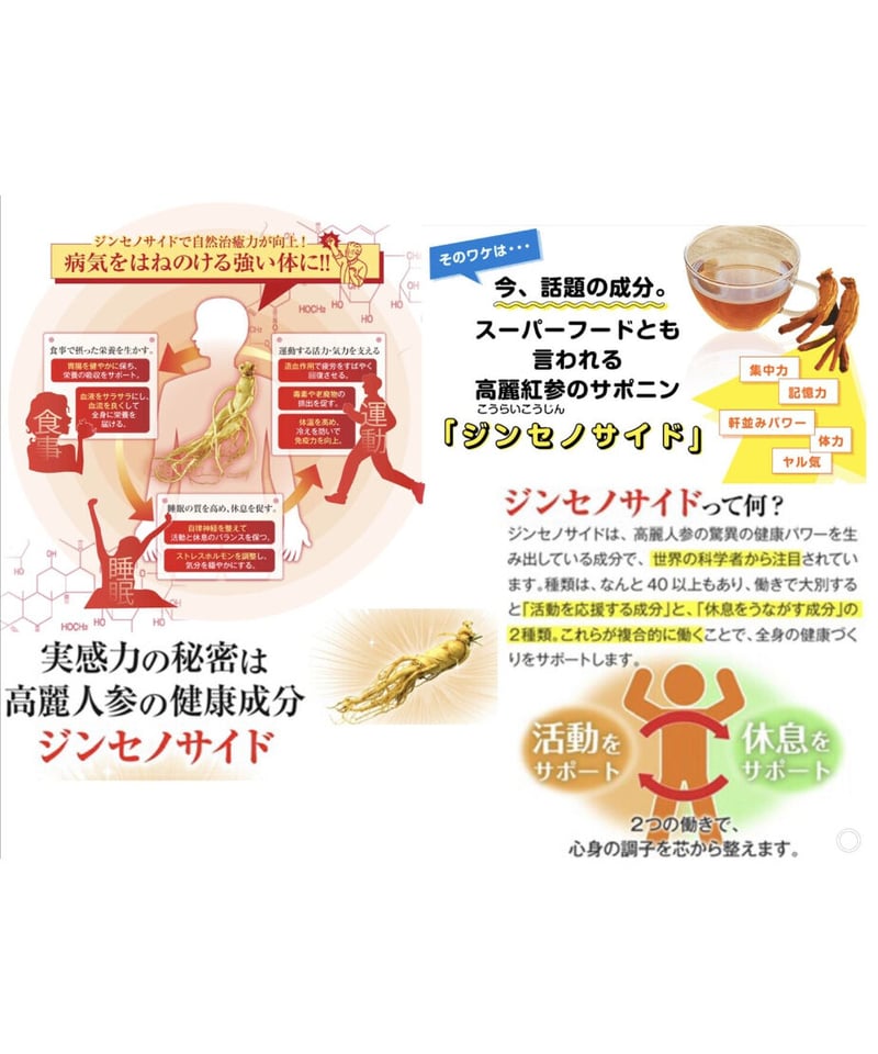 GCOOP ckコンパウンドkバランスパワー 高麗人参 GCOOP ckコンパウンドkバランスパワー 高麗人参