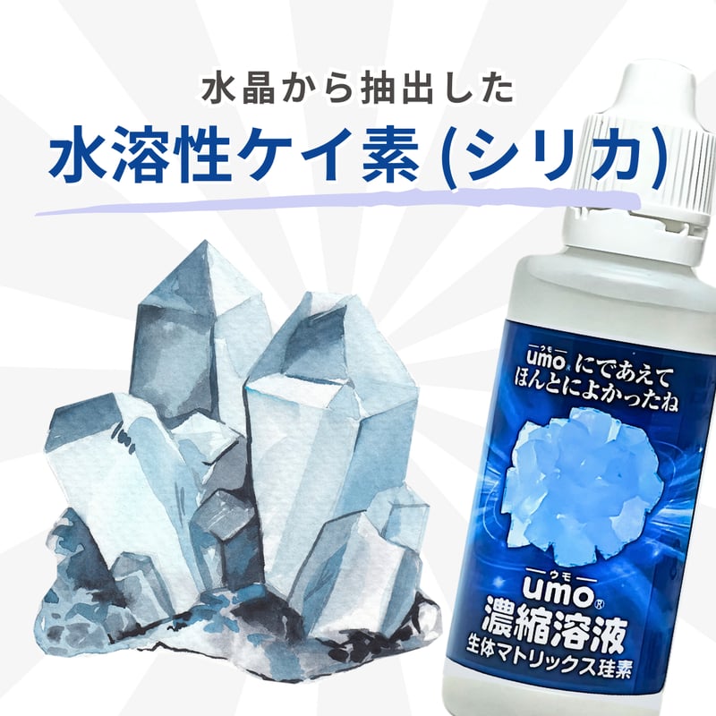 水溶性ケイ素「umo」濃縮溶液 50ml 原液 正規品 日本製 水溶性ケイ素「umo」濃縮溶液 50ml 原液 正規品 日本製