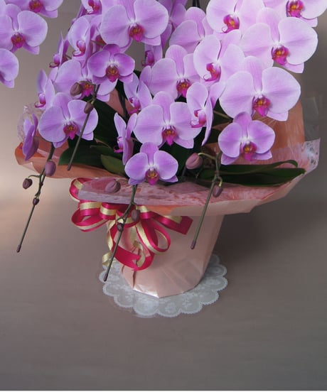 ※オプション選択　豪華ラッピング