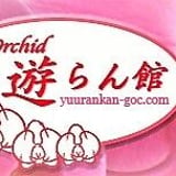遊蘭館