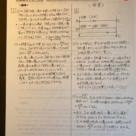 【早割】2027年版　 田園調布学園中等部 合格算数プリント　★2024年、2026年入試的中！　【PDF閲覧パスワード】 078d