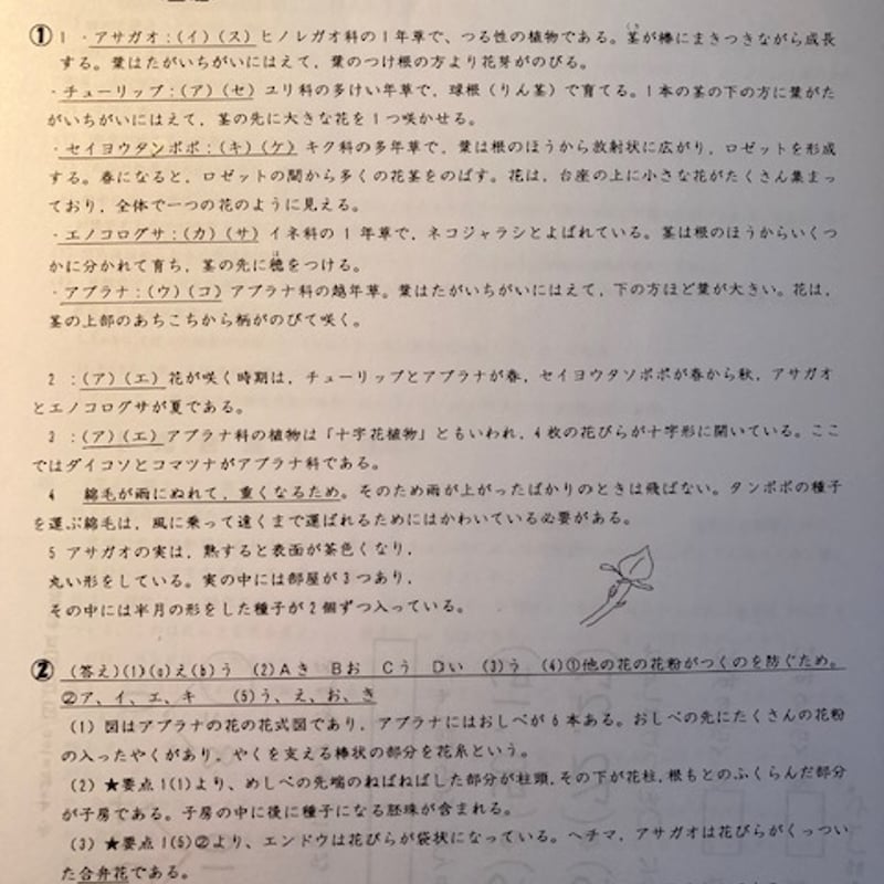 ☆中学受験 新難関校の理科 4分野セット：物理、化学、生物、地学