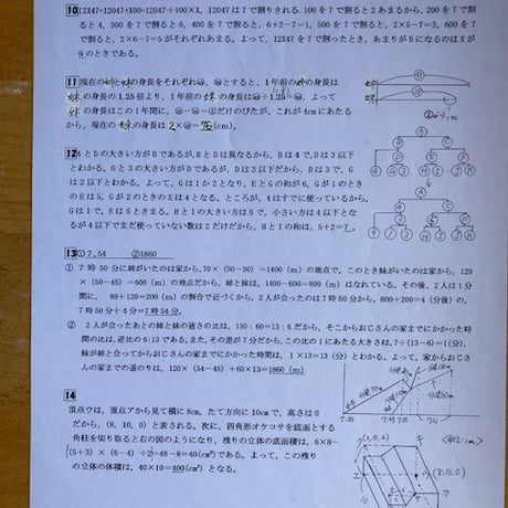 【7月まで早割】2027年版　青山学院中等部　合格算数プリント
