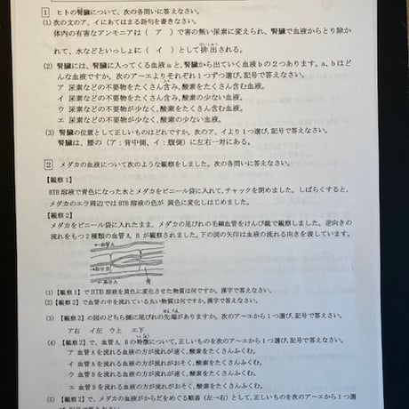 明治大学付属八王子中学校　2027年合格理科プリント