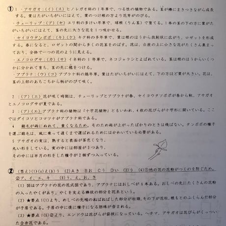 中学受験　難関校の植物