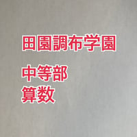 【早割】2027年版　 田園調布学園中等部 合格算数プリント　★2024年、2026年入試的中！　【PDF閲覧パスワード】 078d
