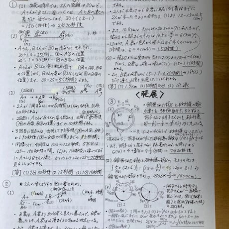 浦和明の星女子中学校：2027年合格算数プリント