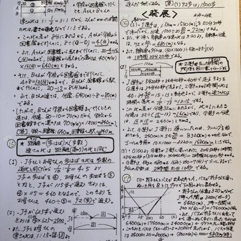 【★2024受験】【書き込みなし】Sapix6年 算数 図形 特訓 中学受験算数/SPI】平面図形の面積 理解の差がつく良問 脳トレ問題