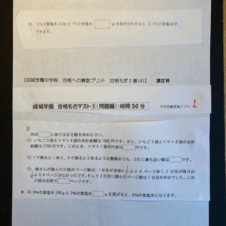 【早割】成城学園中学校　2027年版　合格算数プリント★ 2025年入試的中！