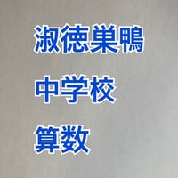 【早割】＜PDF送信＞淑徳巣鴨中学校：2027年分析算数対策プリント