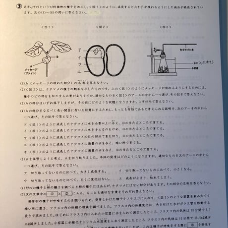 中学受験　難関校の植物